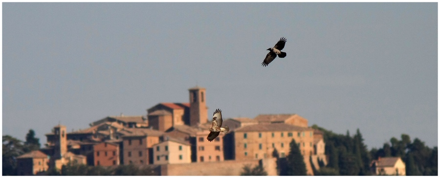 battaglia sopra Piticchio